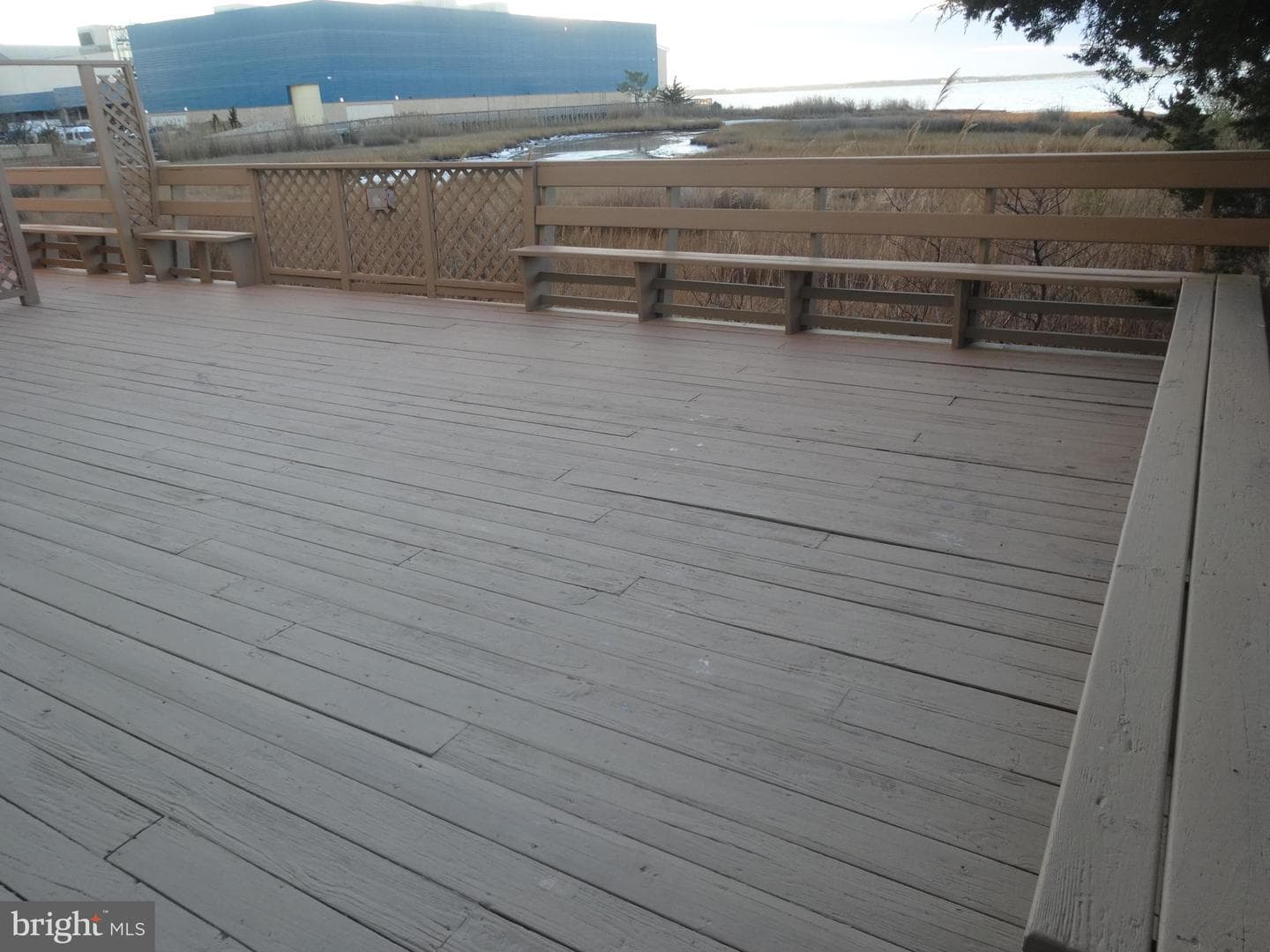 4201 Coastal Highway #203 photo 59
