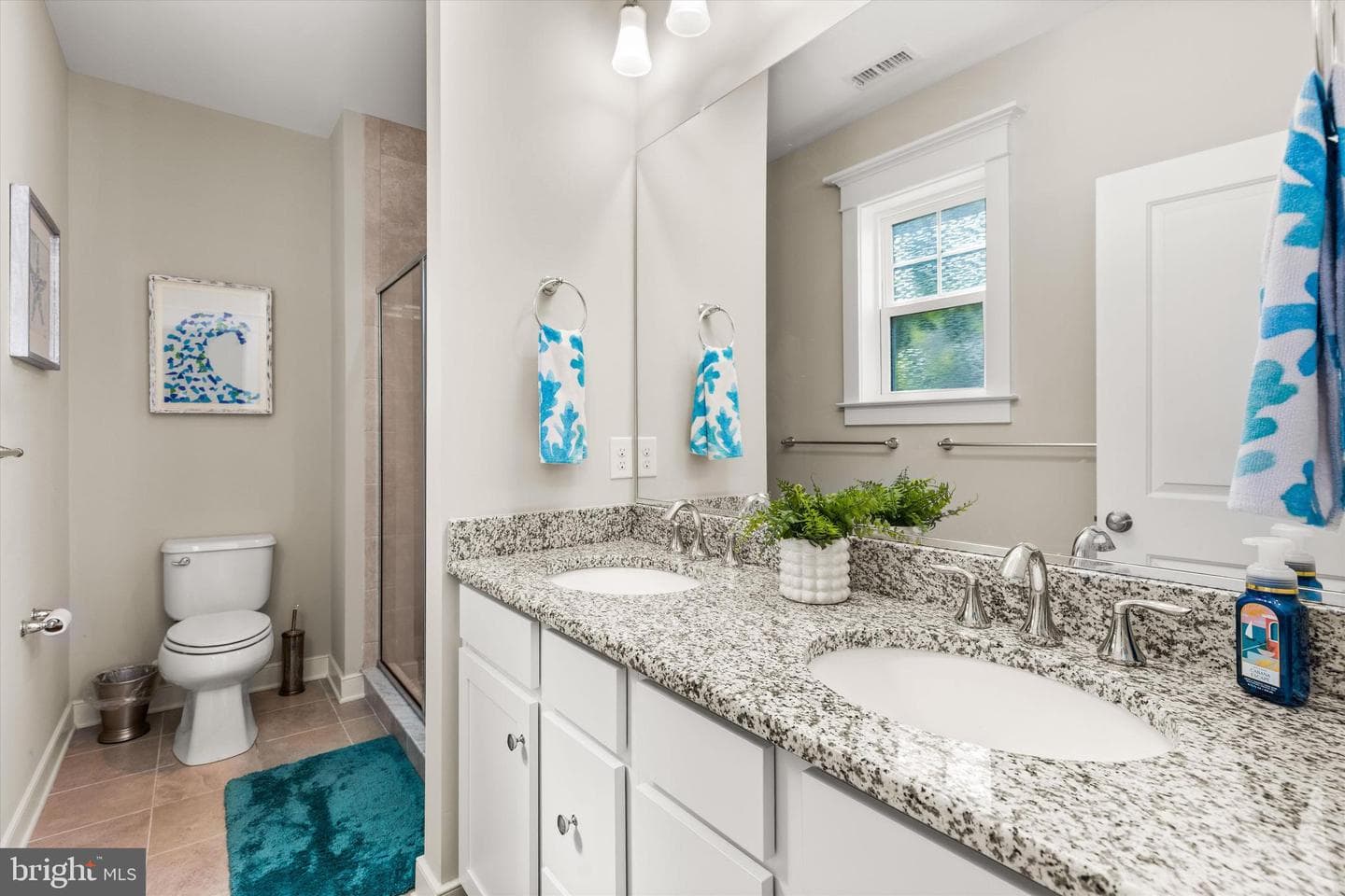 10528 War Dancer Lane photo 24