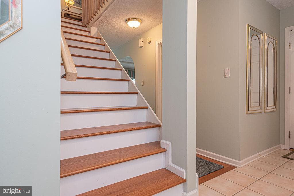 7 Leslie Mews photo 51