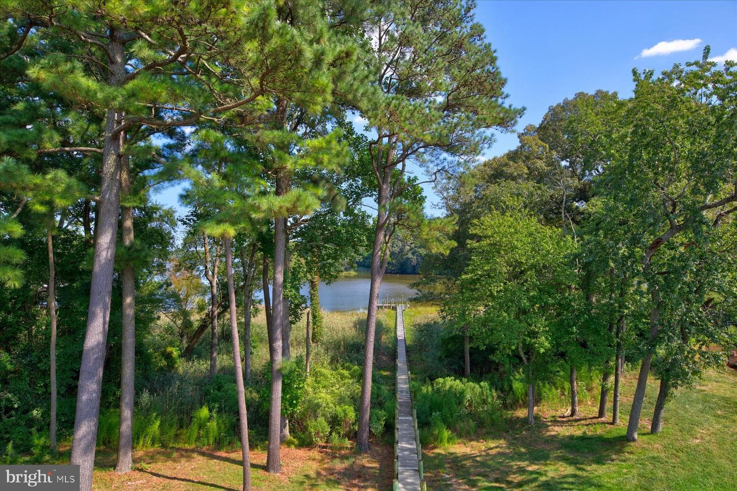 10542 Egret Ct photo 105