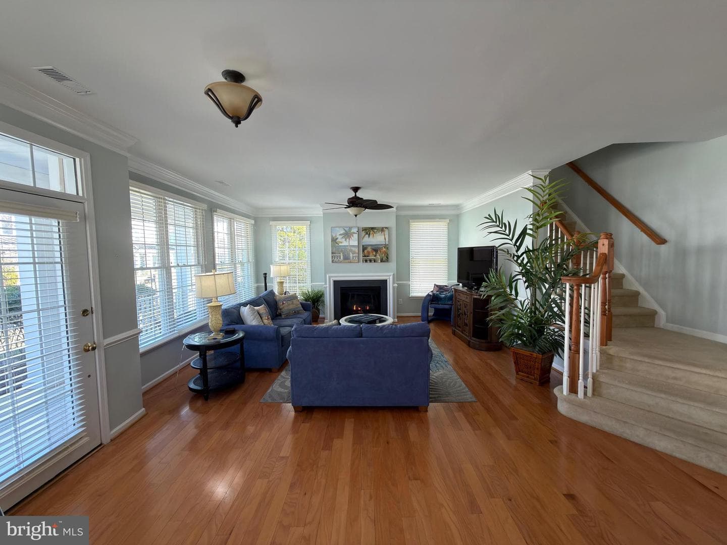 12200 Ocean Vista Drive photo 11