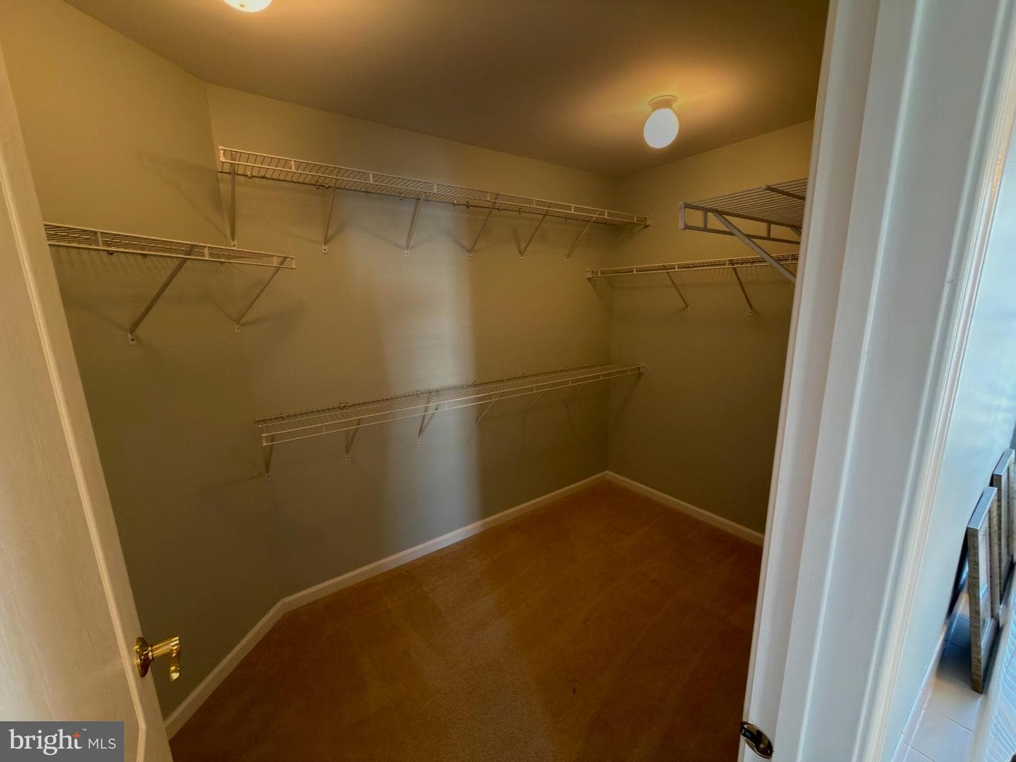 12200 Ocean Vista Drive photo 19