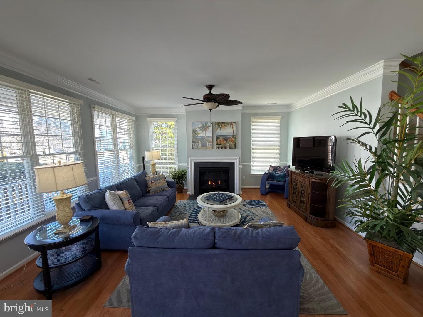 12200 Ocean Vista Drive photo 4