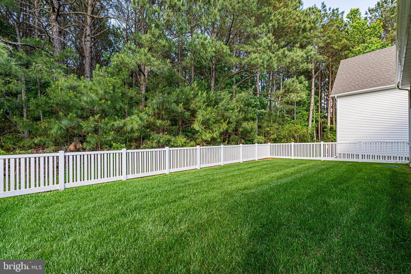 12115 Snug Harbor Road photo 4