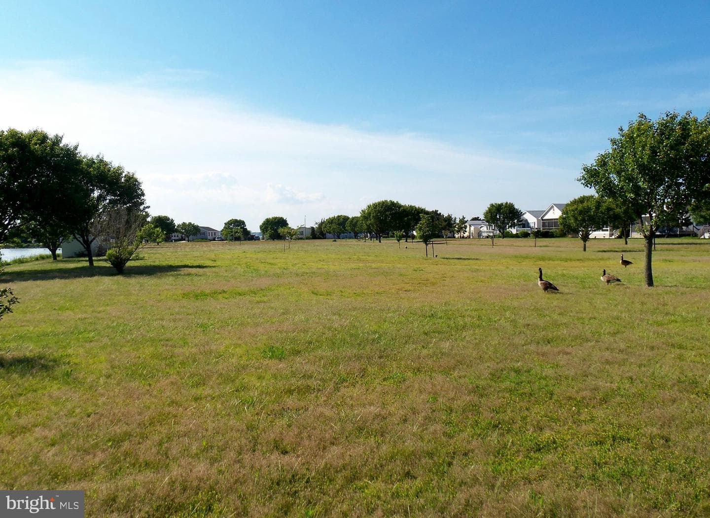 109 Sea Breeze Drive photo 40