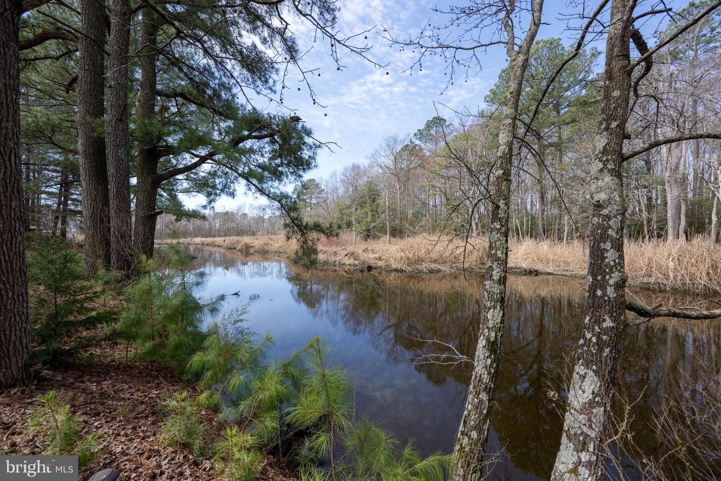 11244 W Marie Drive, Bishopville