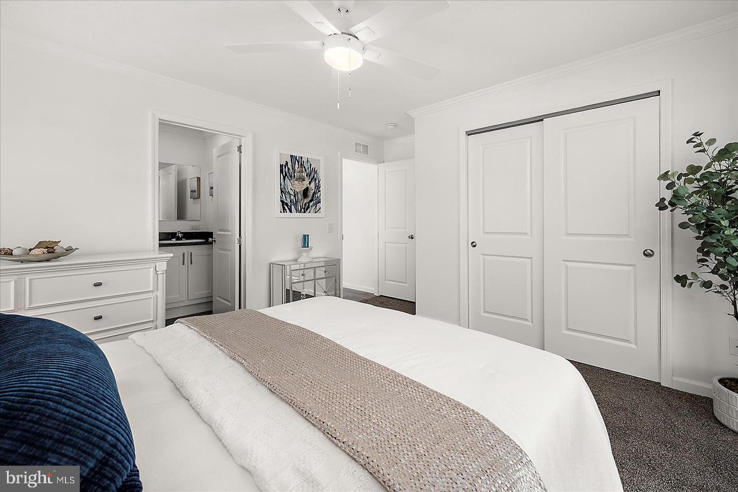 12421 Beach Life Lane photo 19