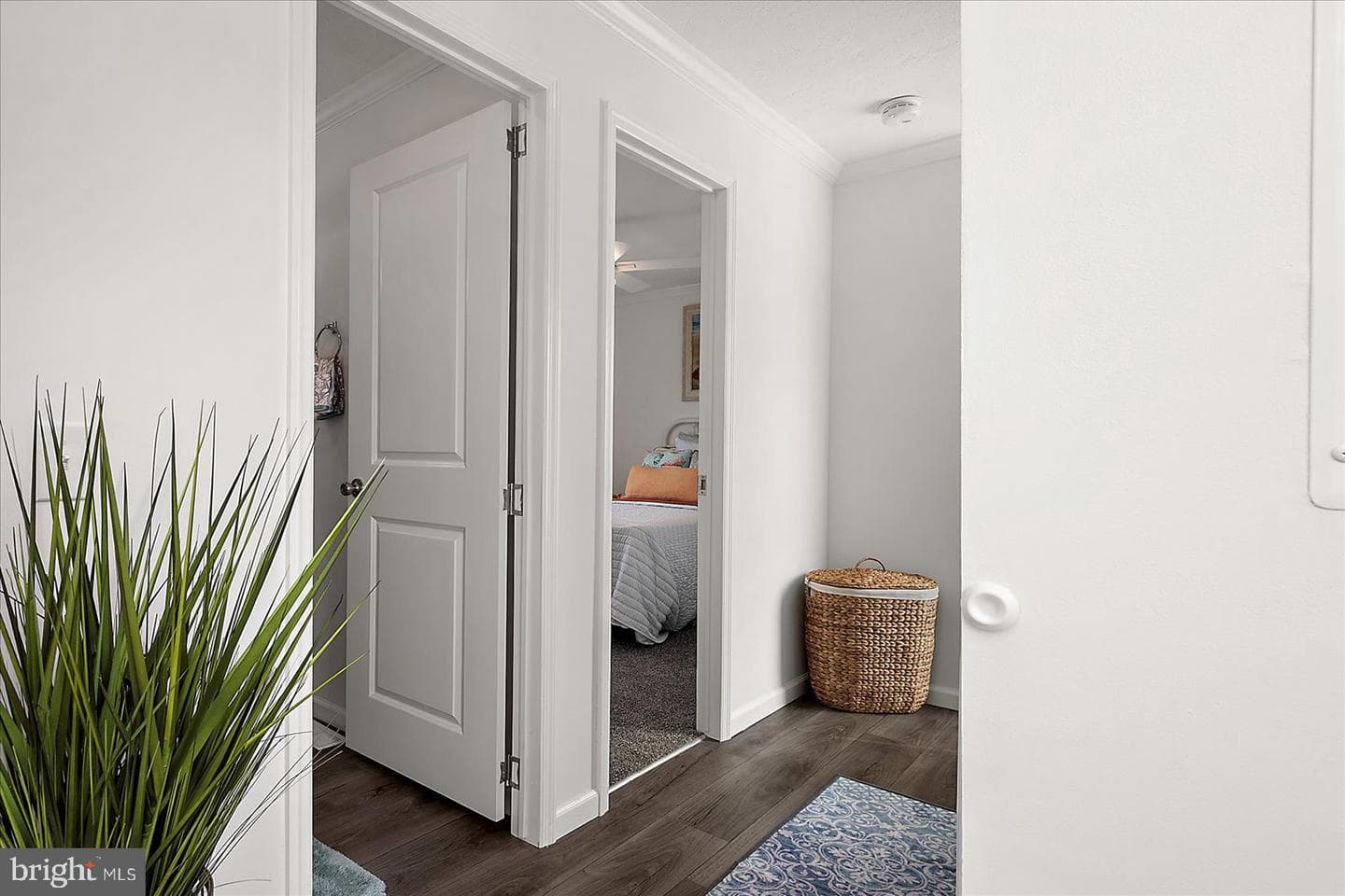12421 Beach Life Lane photo 23