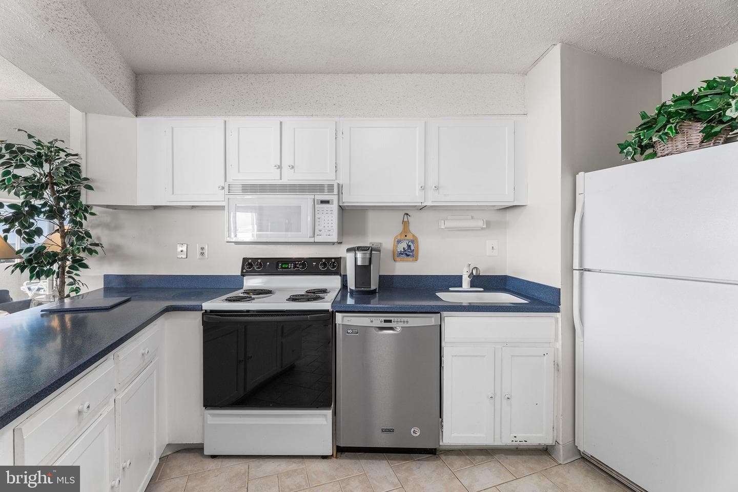 8500 Coastal Highway #1108 photo 9
