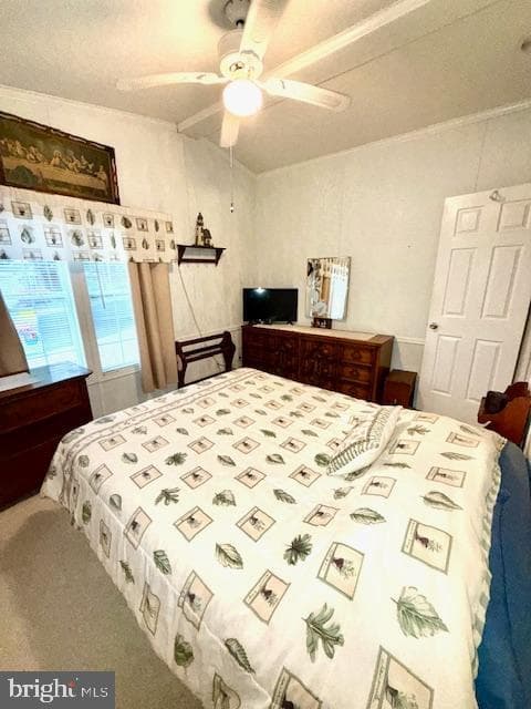 216 Timberline Circle photo 18