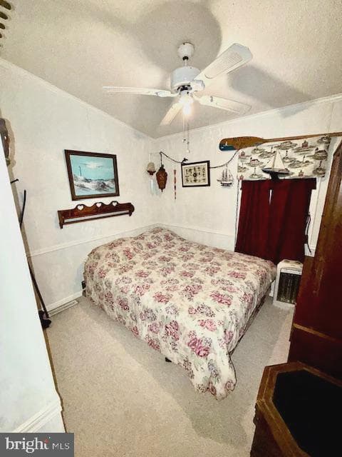 216 Timberline Circle photo 19