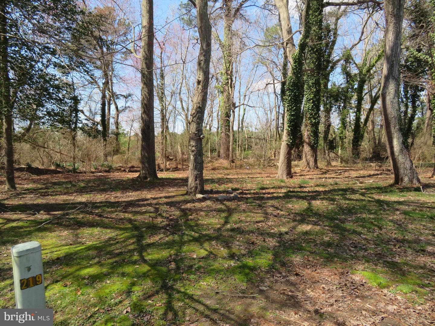 219 Timberline Circle photo 11