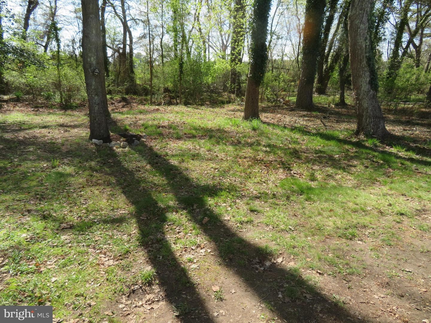 219 Timberline Circle photo 2