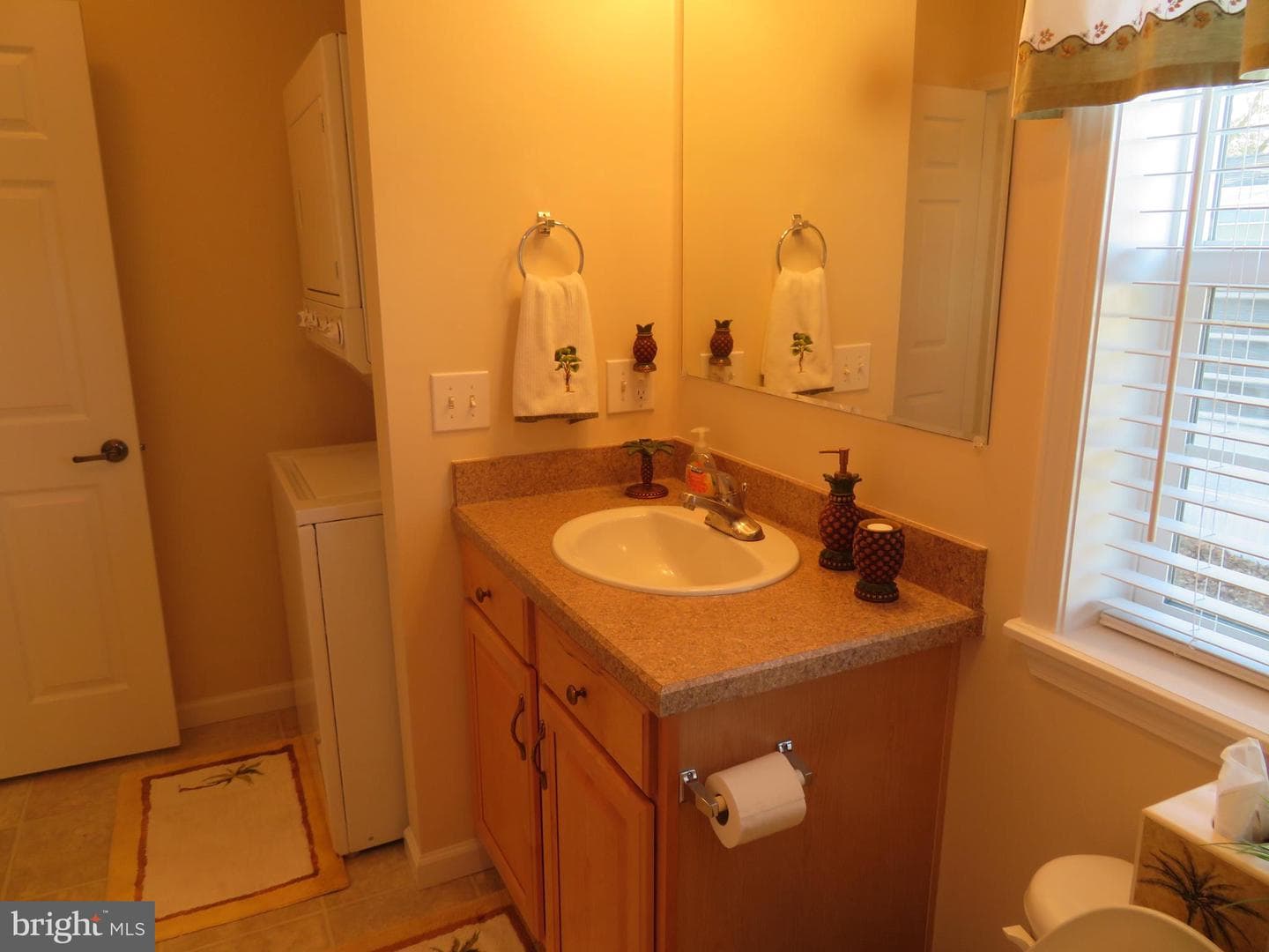 219 Timberline Circle photo 40
