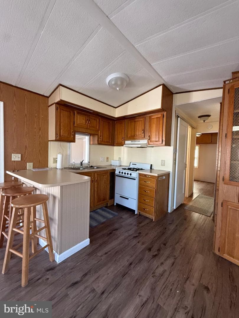 224 Timberline Cir photo 13