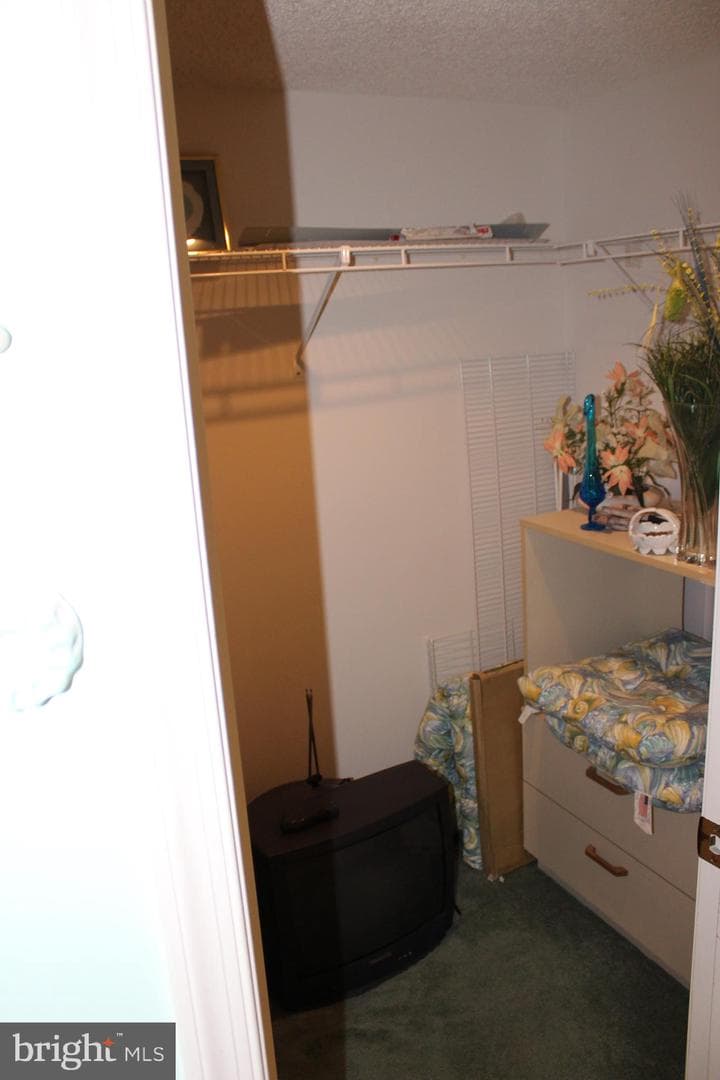 12301 Jamaica Avenue #251n photo 16
