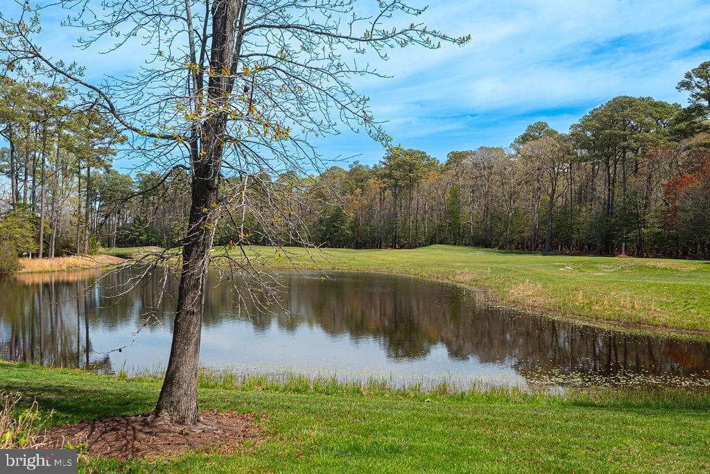 11834 Man O War Lane photo 36