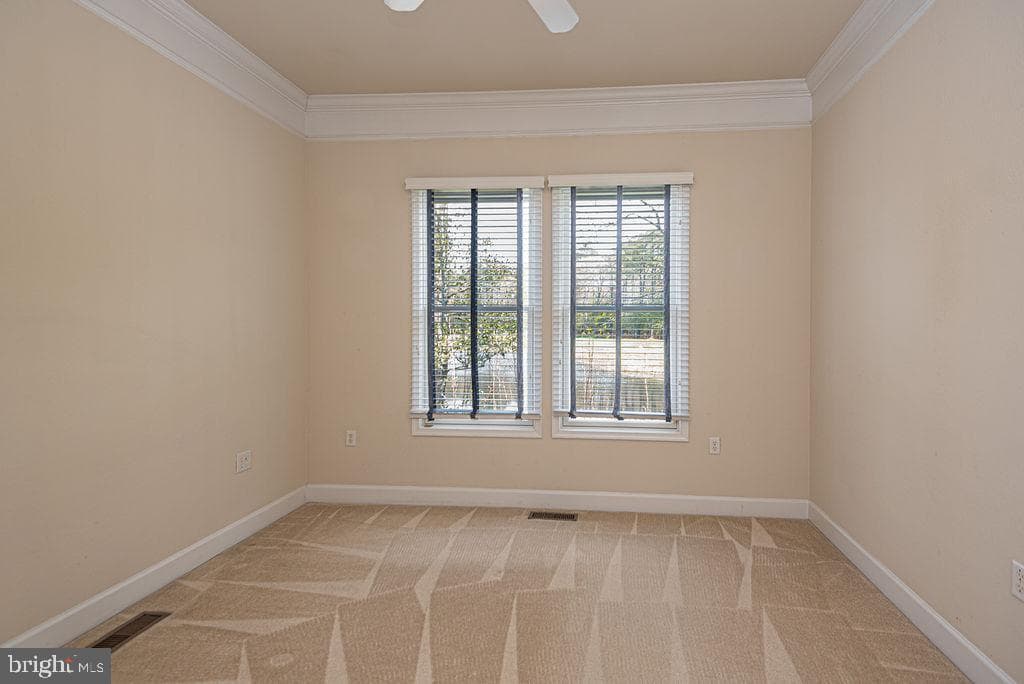 11834 Man O War Lane photo 46