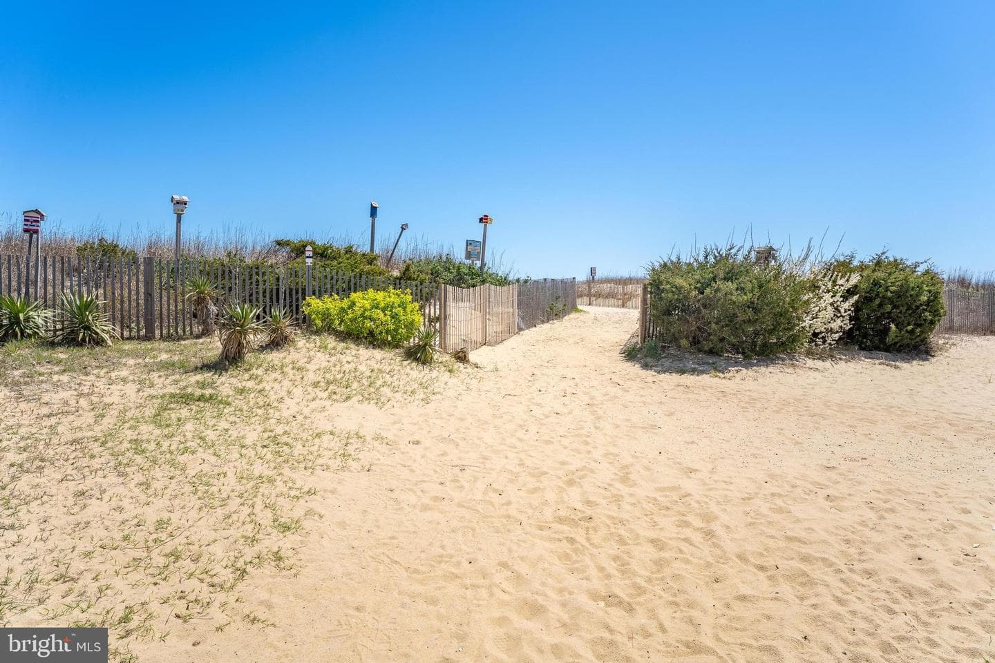 14 123rd Street #3 photo 47