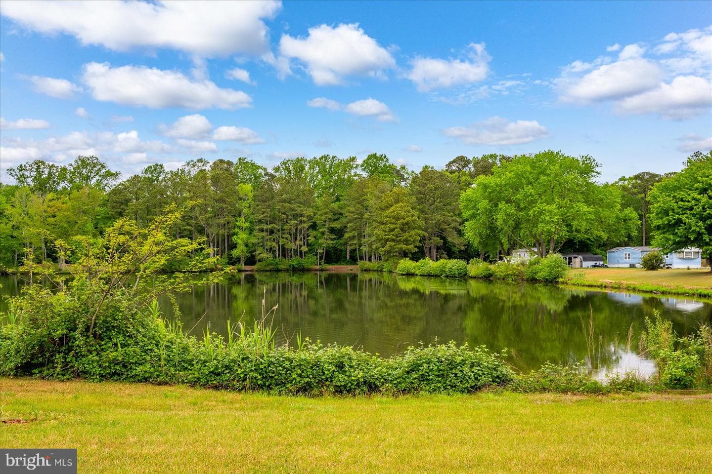 10323 Henry Rd #24b photo 50
