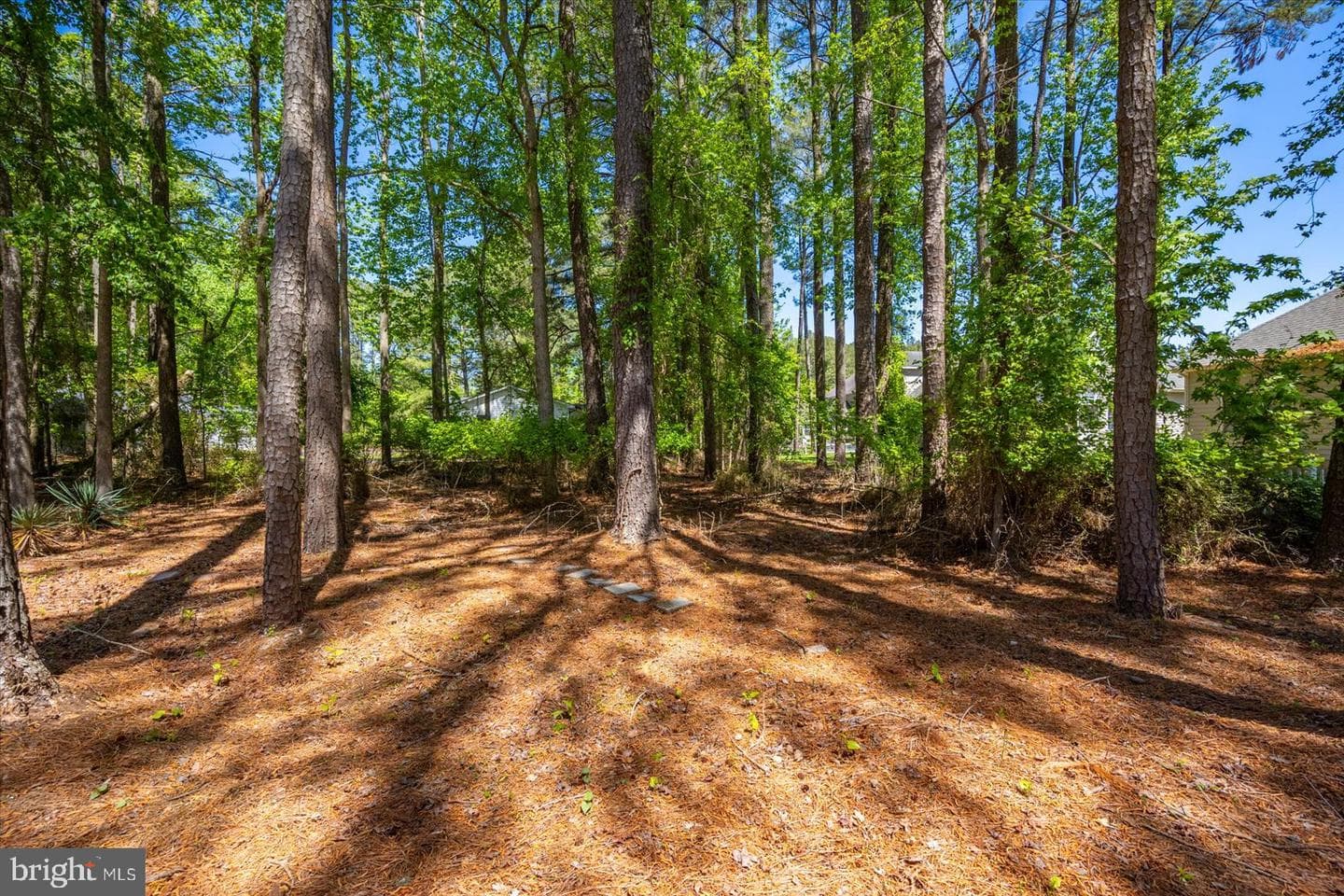 118 Robin Hood Trl photo 64
