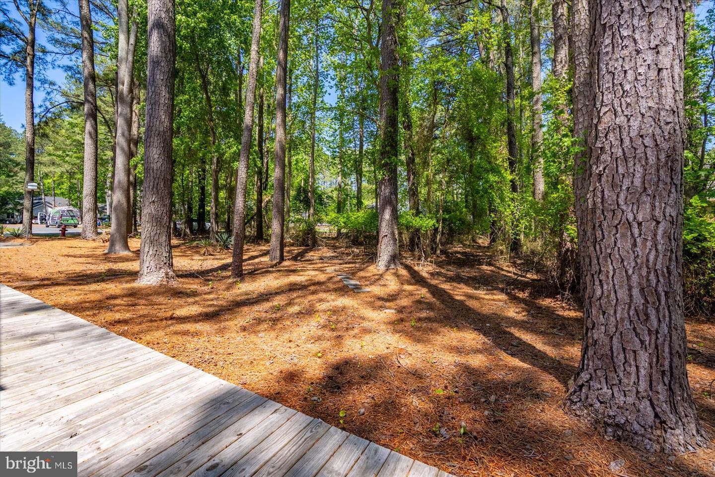 118 Robin Hood Trl photo 65