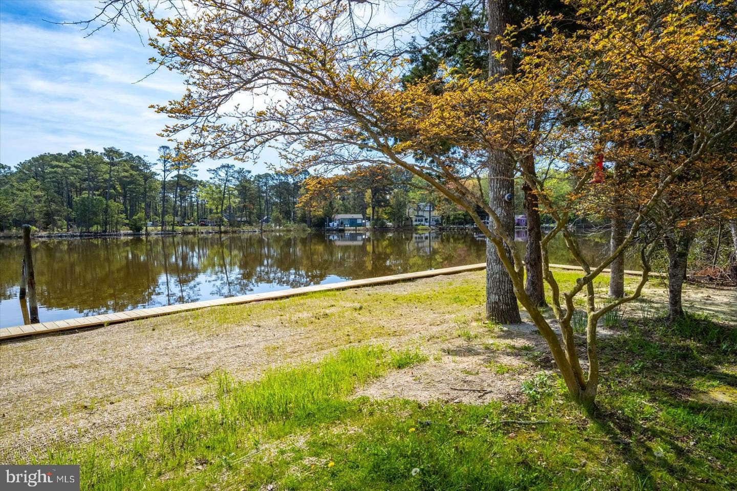 12203 Nanas Way Lane photo 39