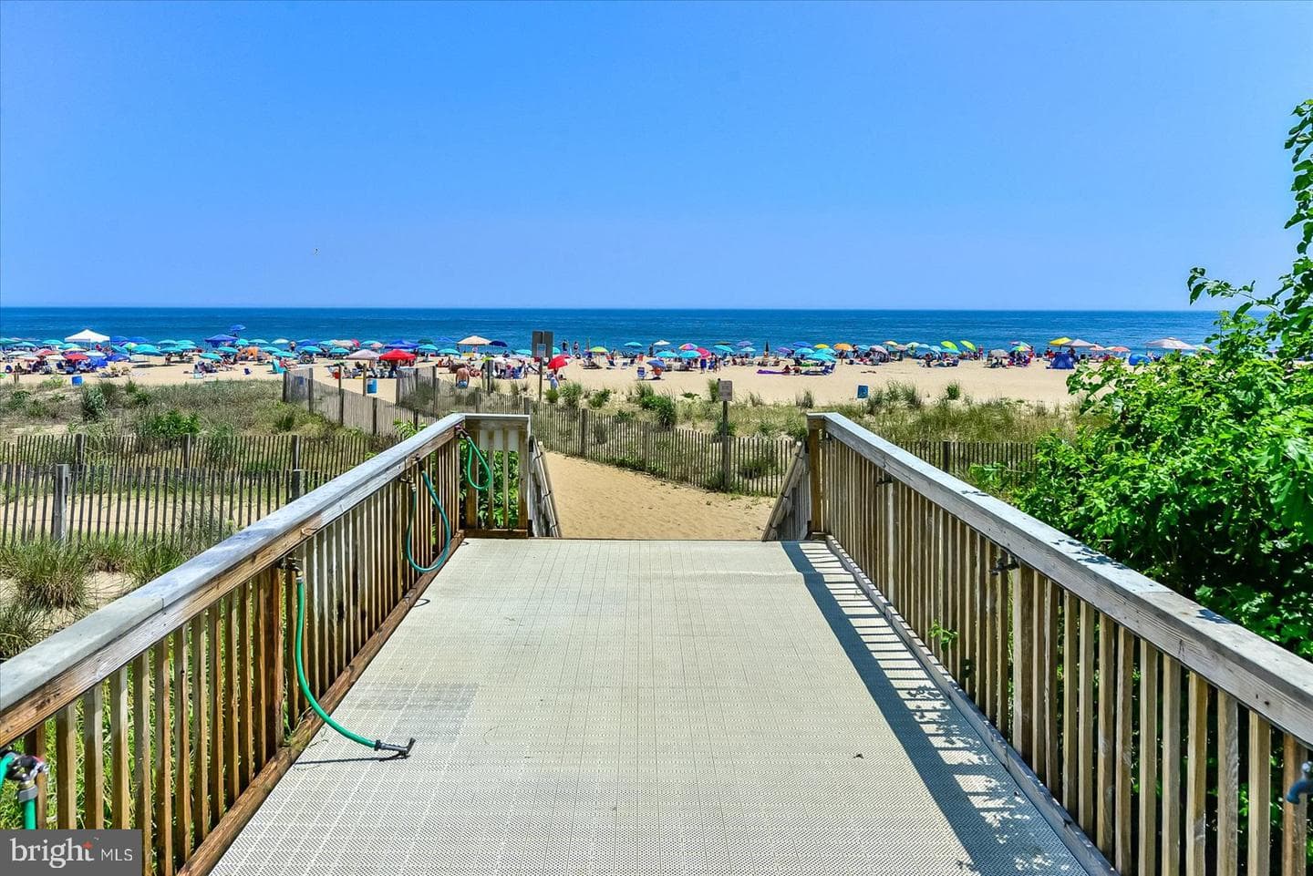 9800 Coastal Highway #910 photo 44
