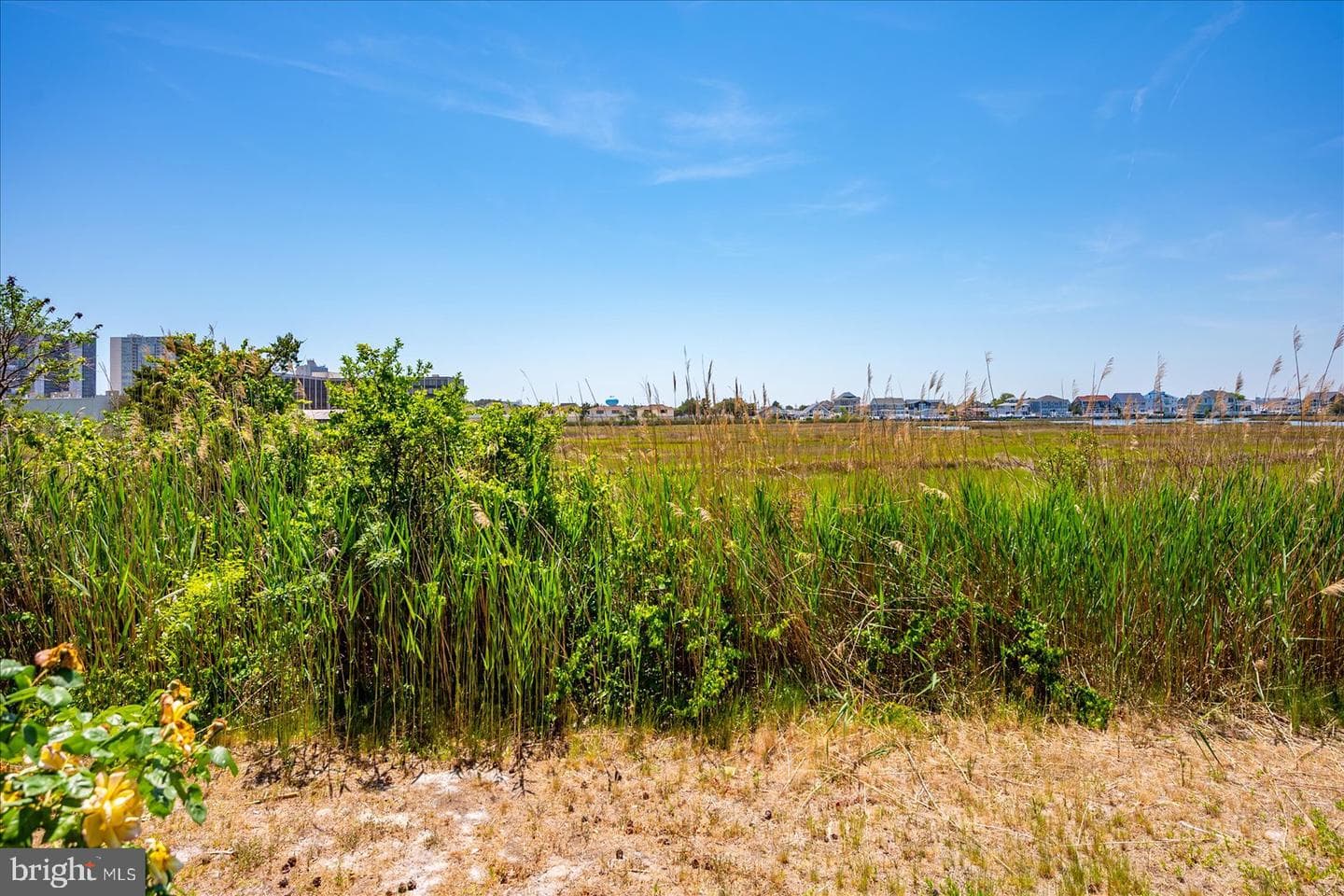 135 Jamestown Road #18a photo 49