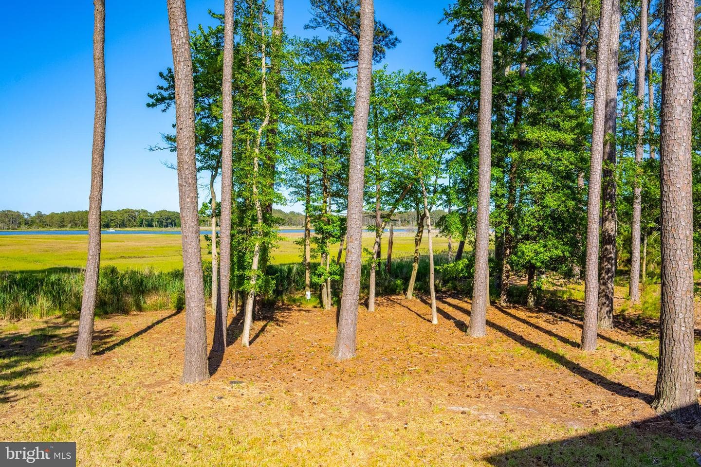 10310 Quarter Deck Lane photo 65