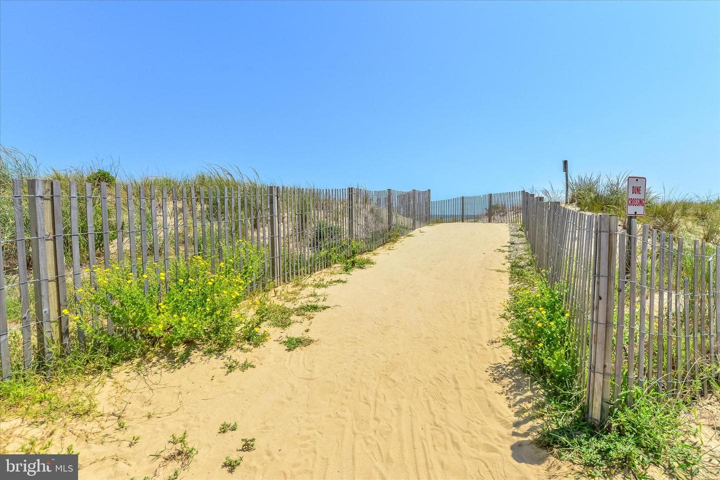 7402 Coastal Highway #204 photo 36