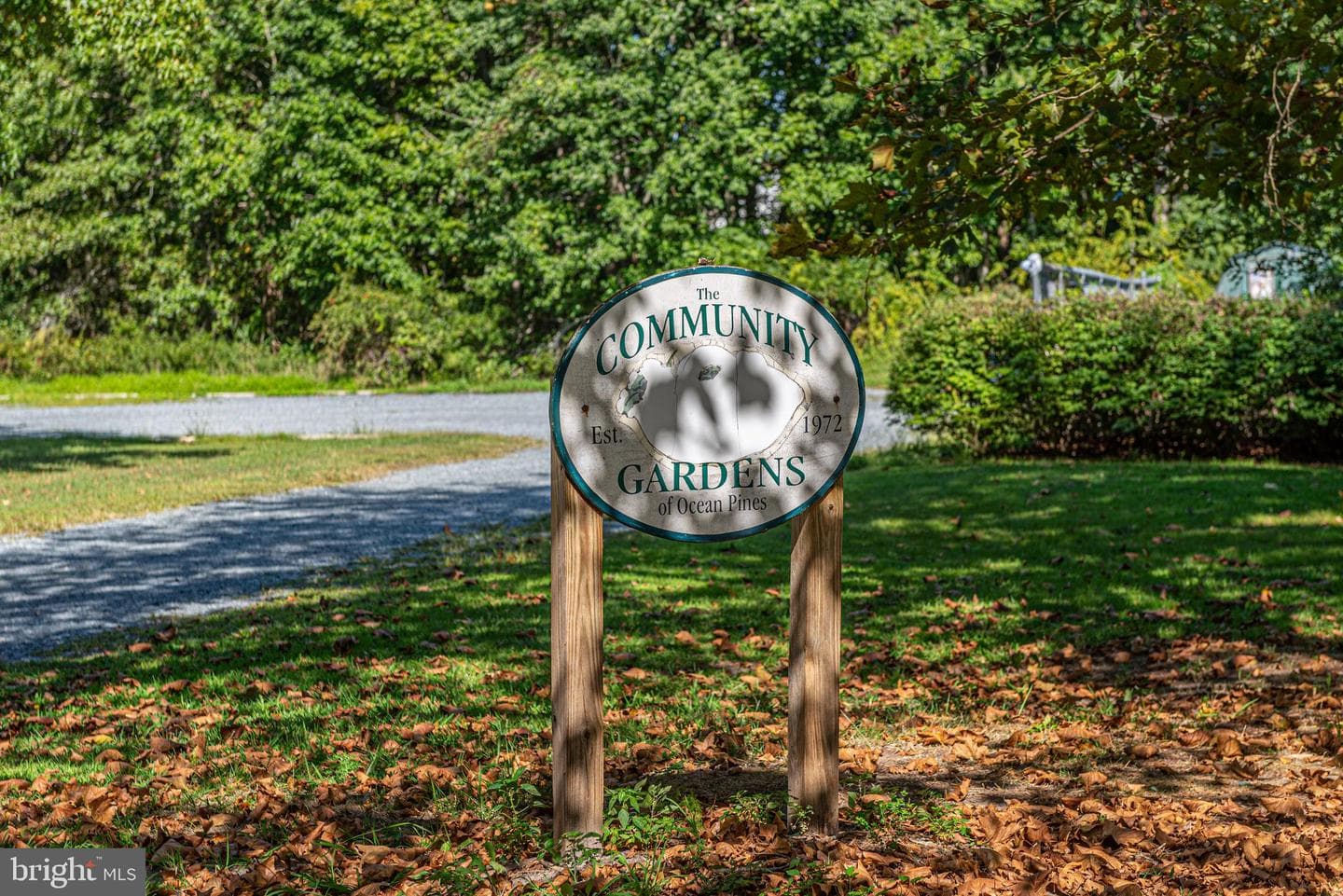 31 Driftwood Ln photo 104