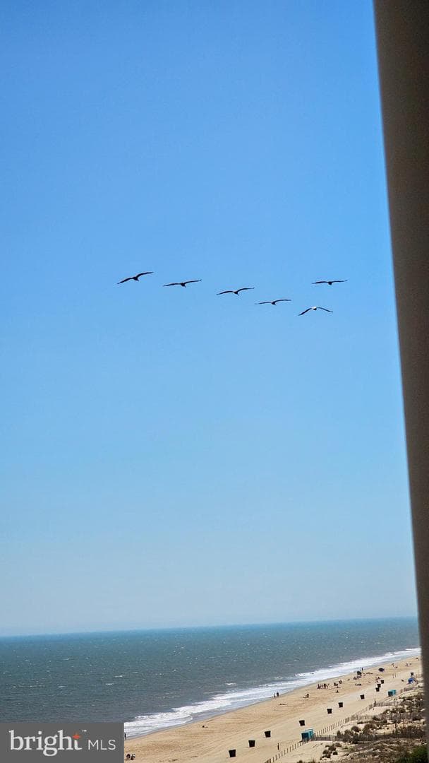 10002 Coastal Highway #707 photo 16
