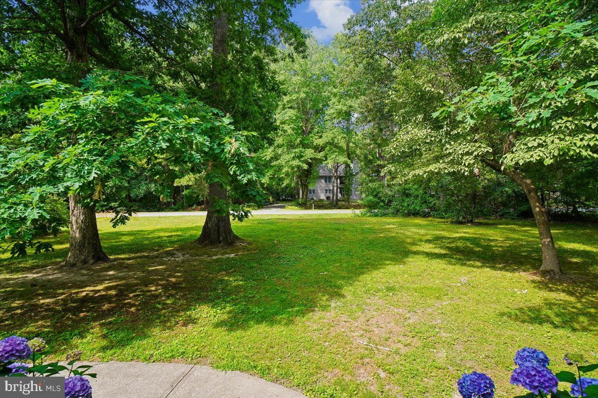 10541 Shady Dr photo 5