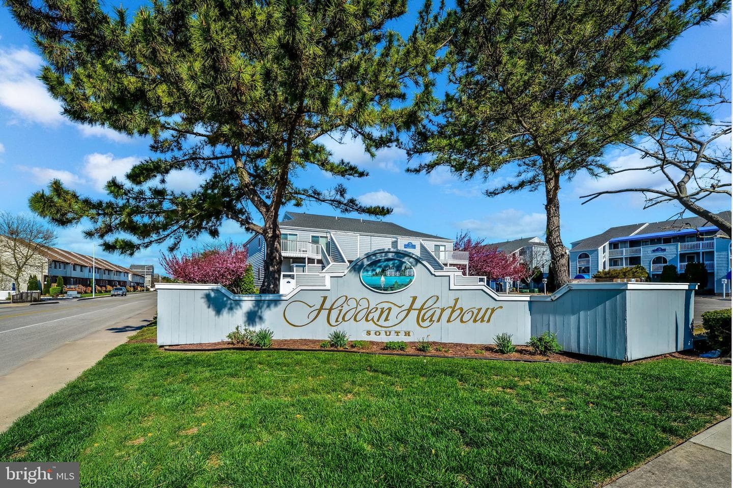 12301 Jamaica Avenue #351n photo 6