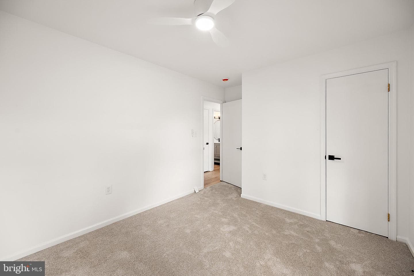 302 Franklin Avenue photo 23
