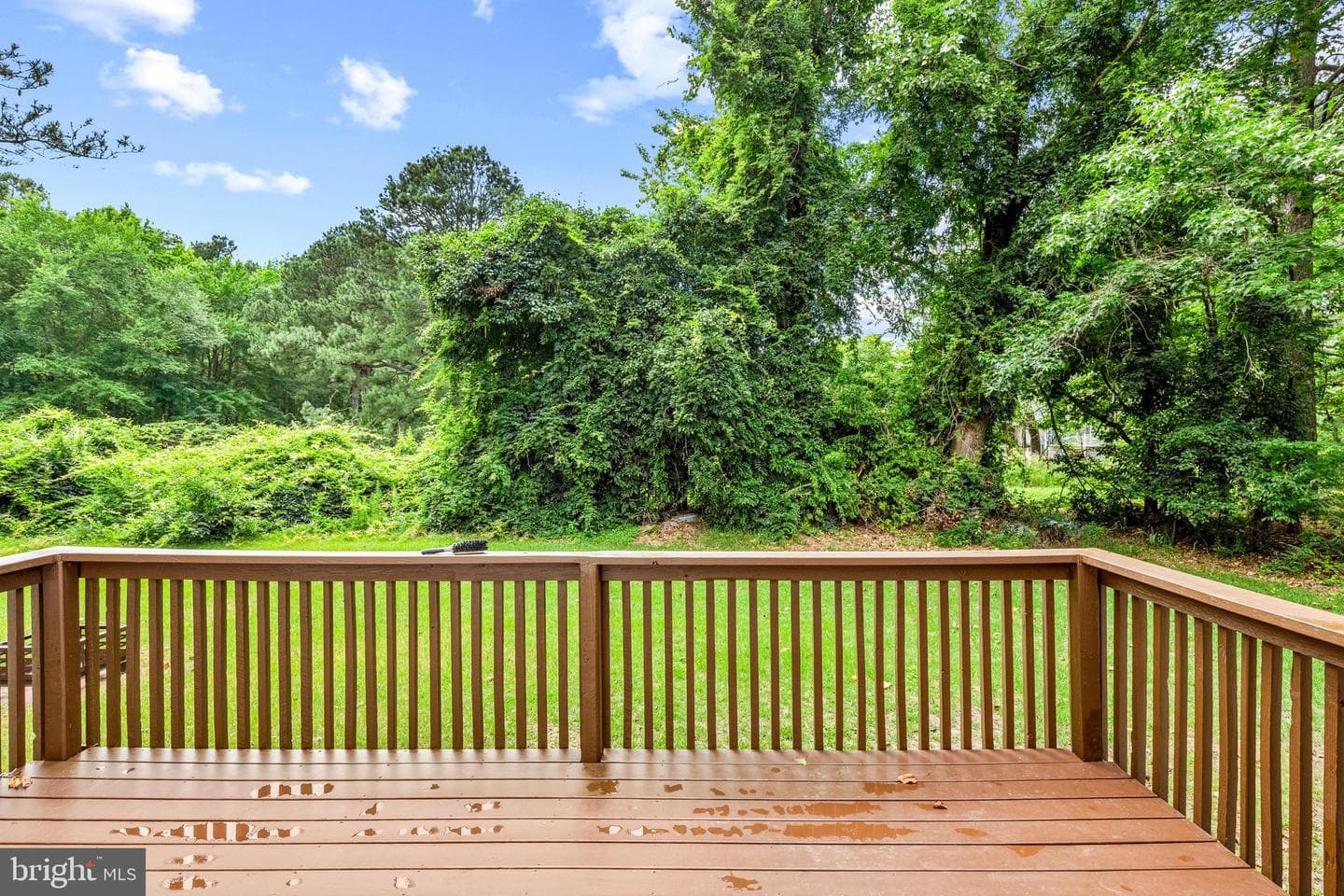 15 Raft Road photo 34
