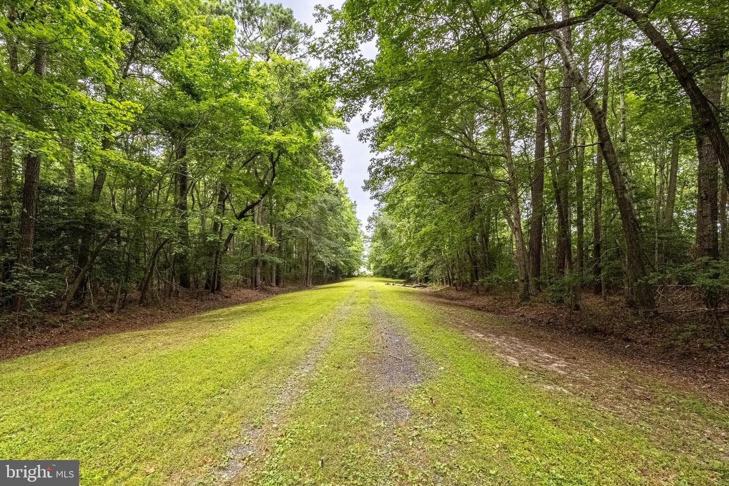 12089 Saint Martins Neck Road photo 61