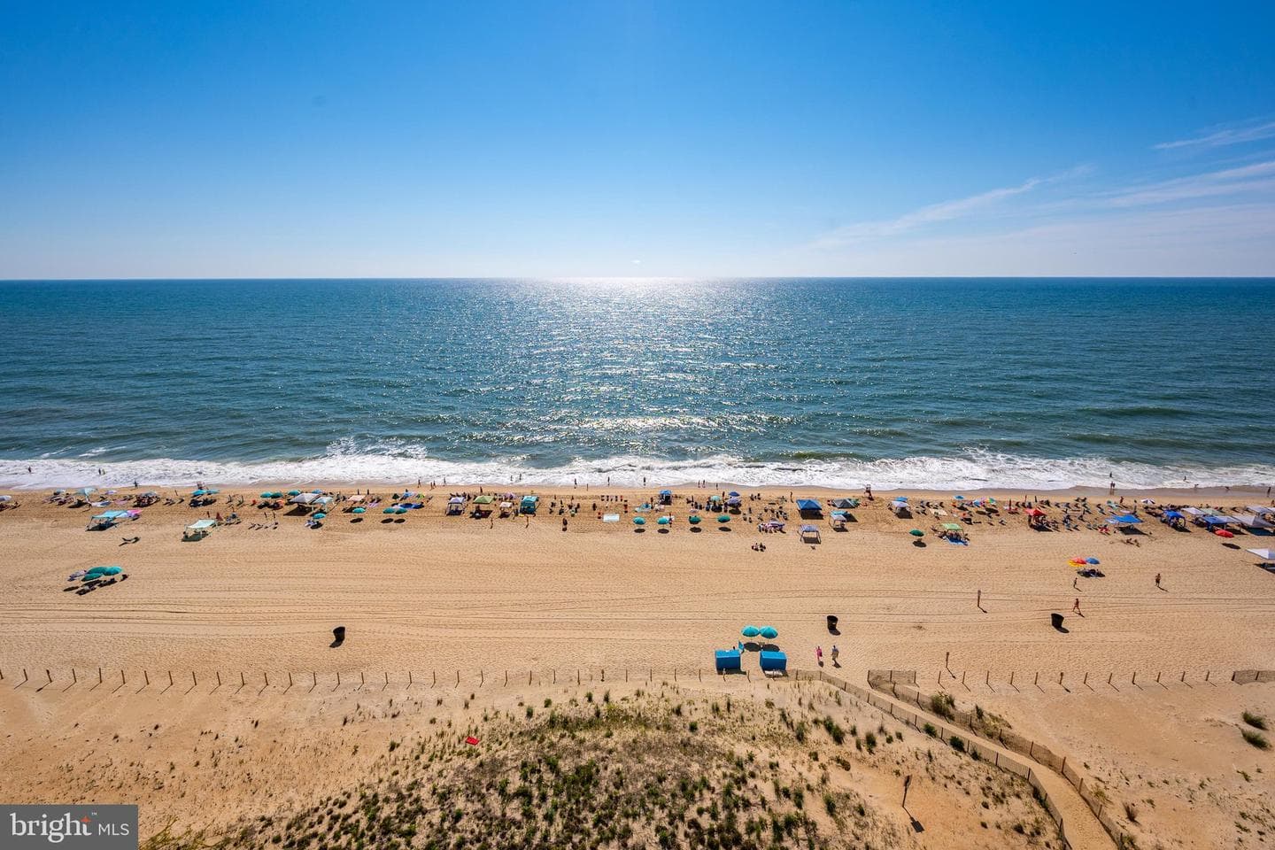 9900 Coastal Highway #1409 photo 40