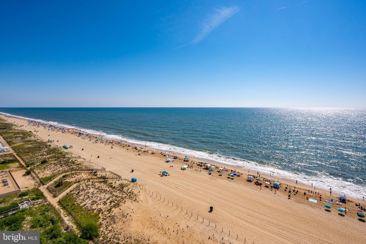 9900 Coastal Highway #1409 photo 41