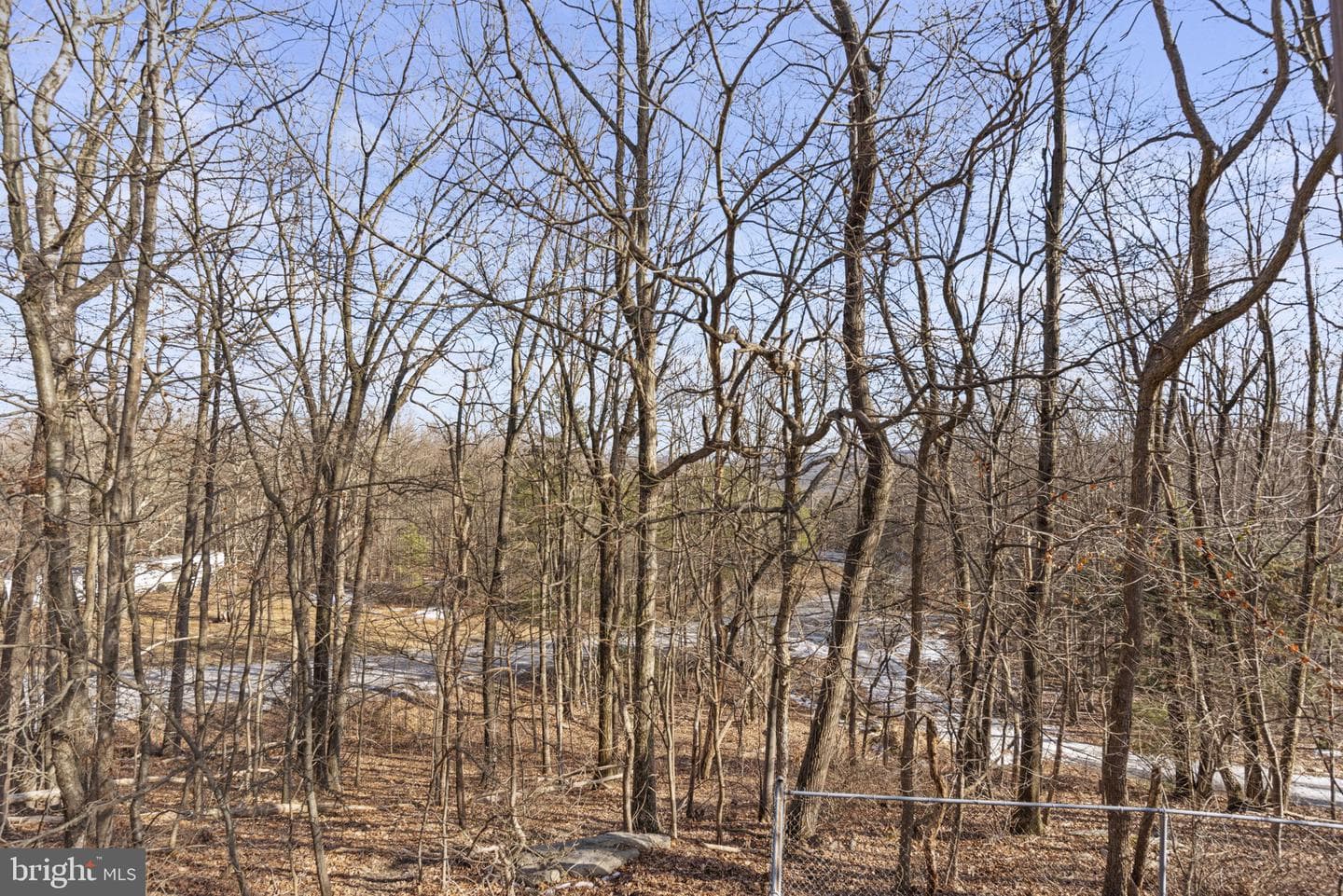 46 Woodview Road photo 38