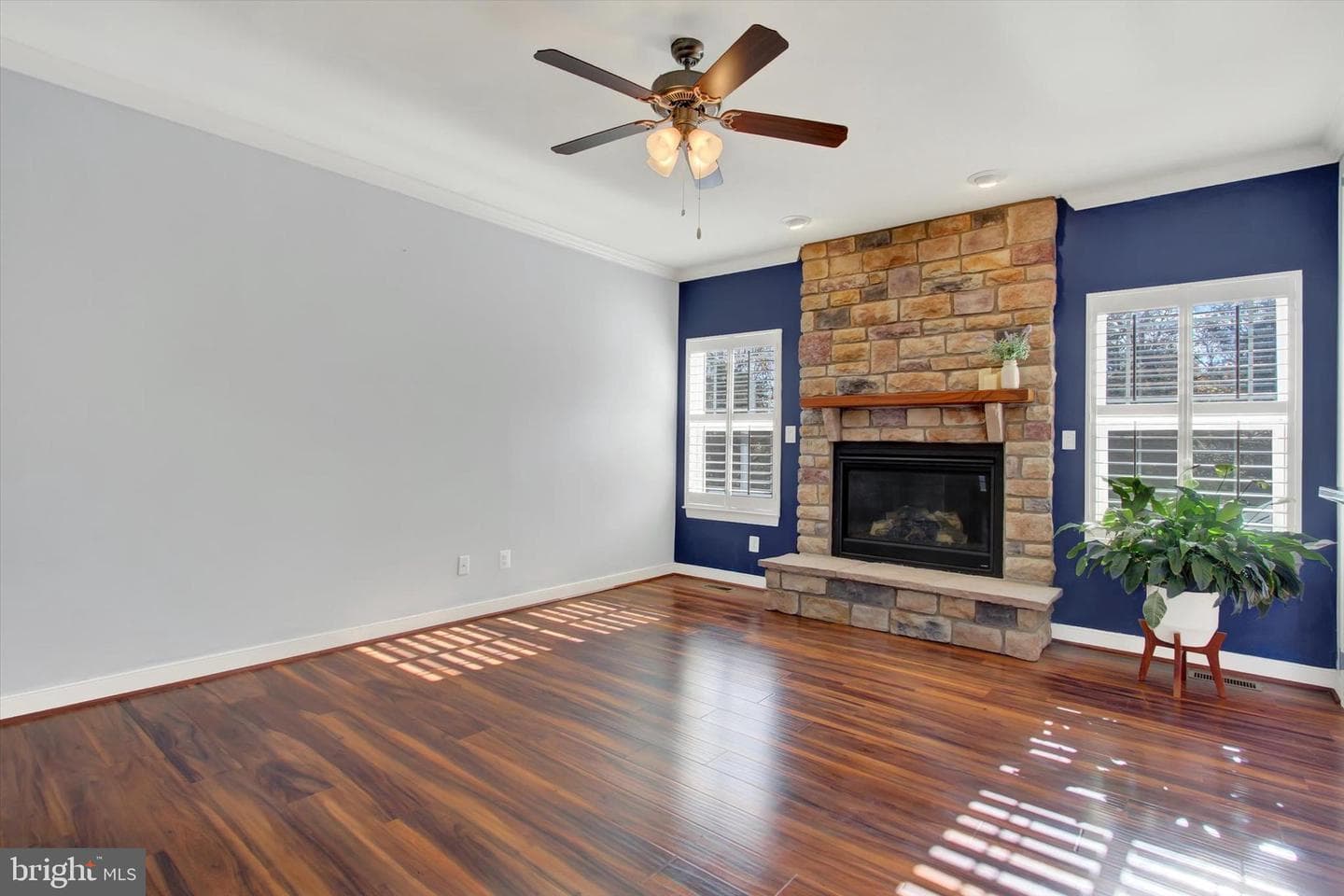 64 Cooper Lane photo 10