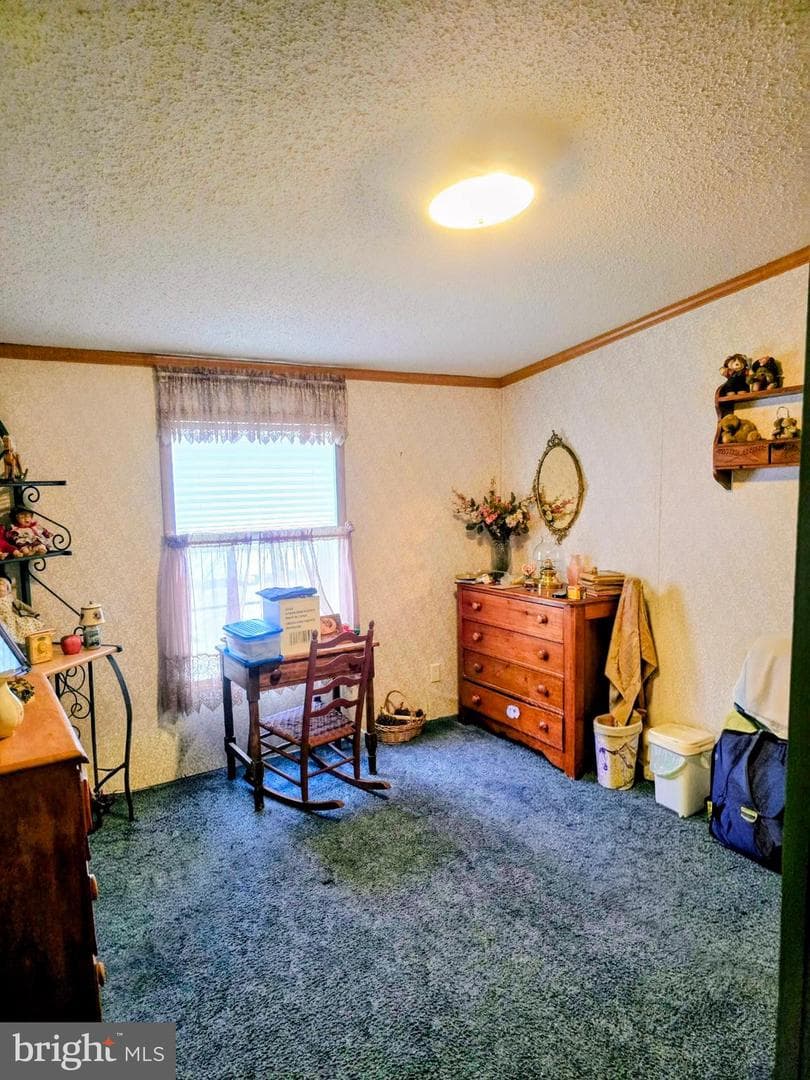 4820 Old Harrisburg Road #163 photo 17