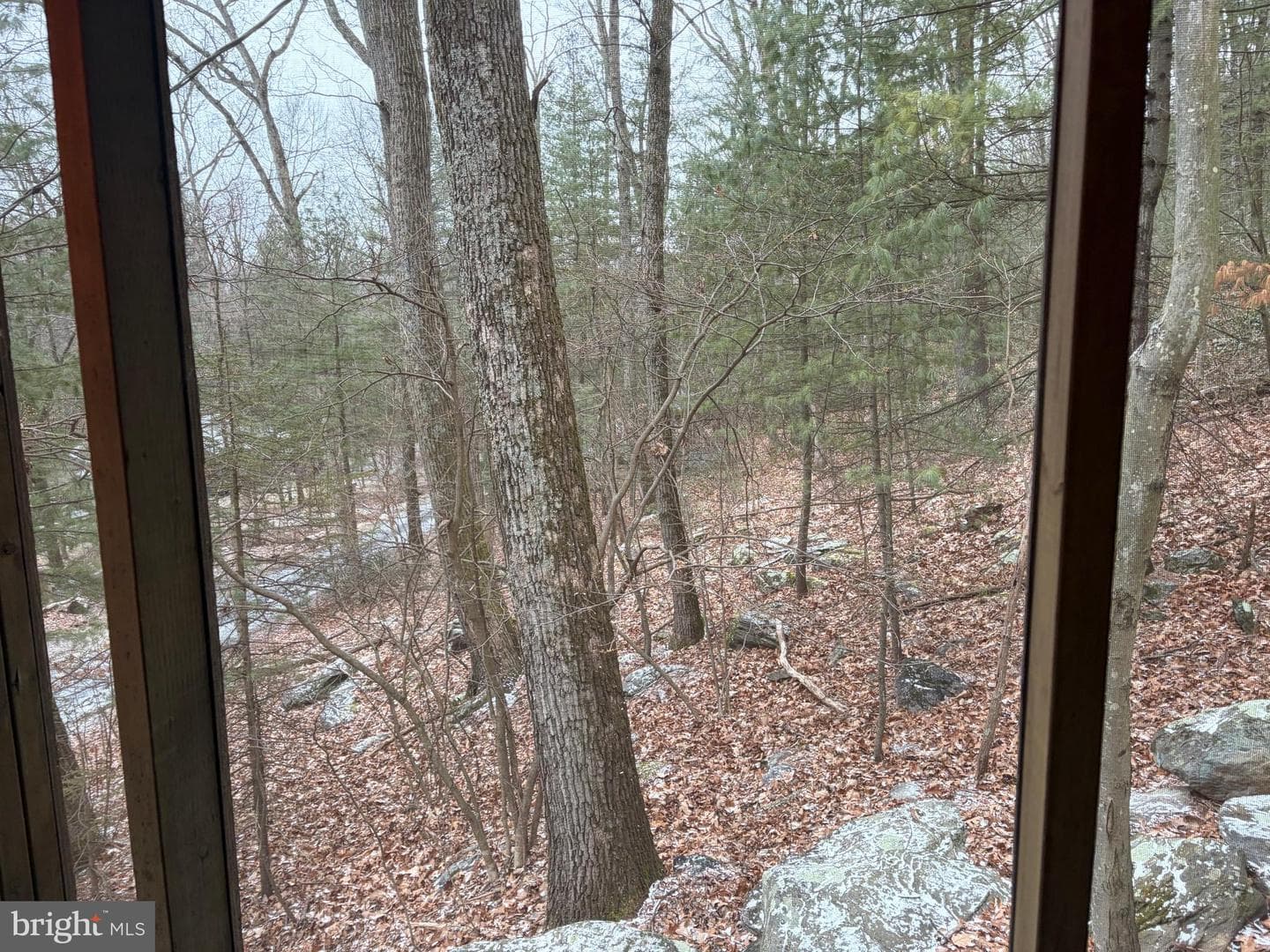 292 Mountain Drive photo 15