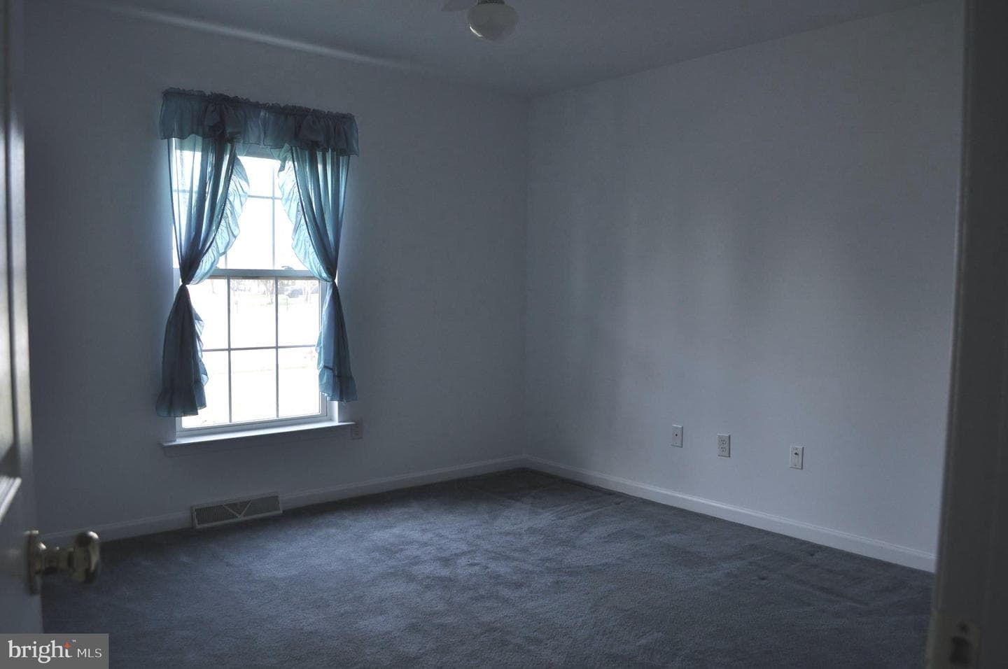 123 Derby Drive photo 19