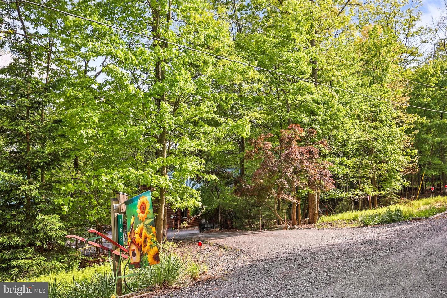 166 Woodview Road photo 56