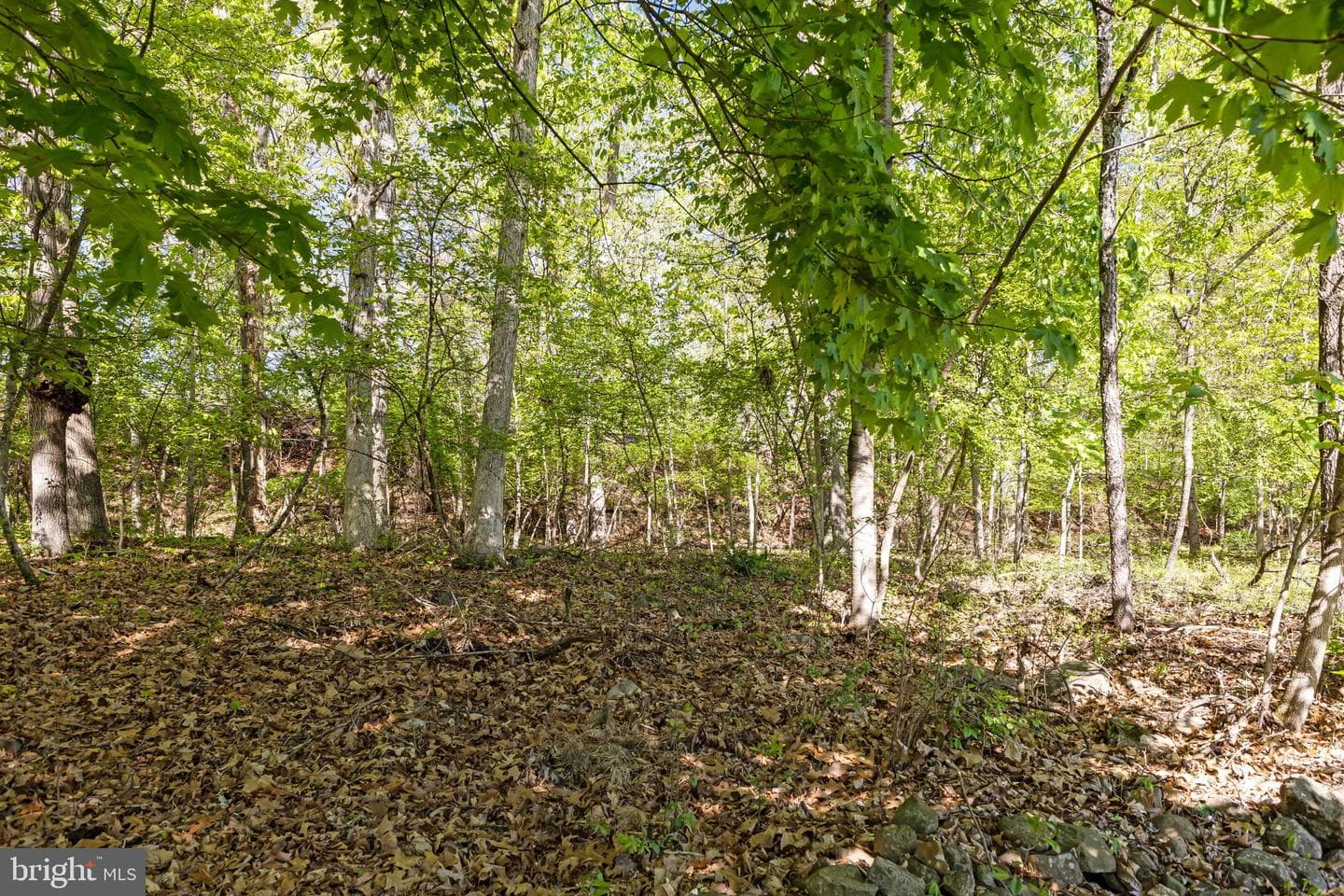 940 Boyds School Road photo 23