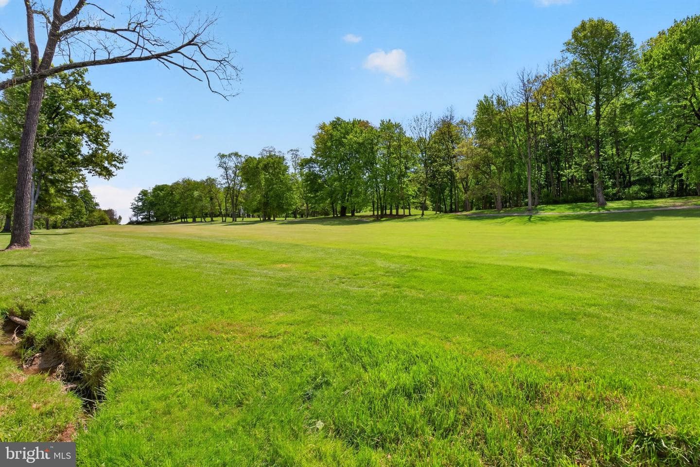 124 Lobell Road photo 38
