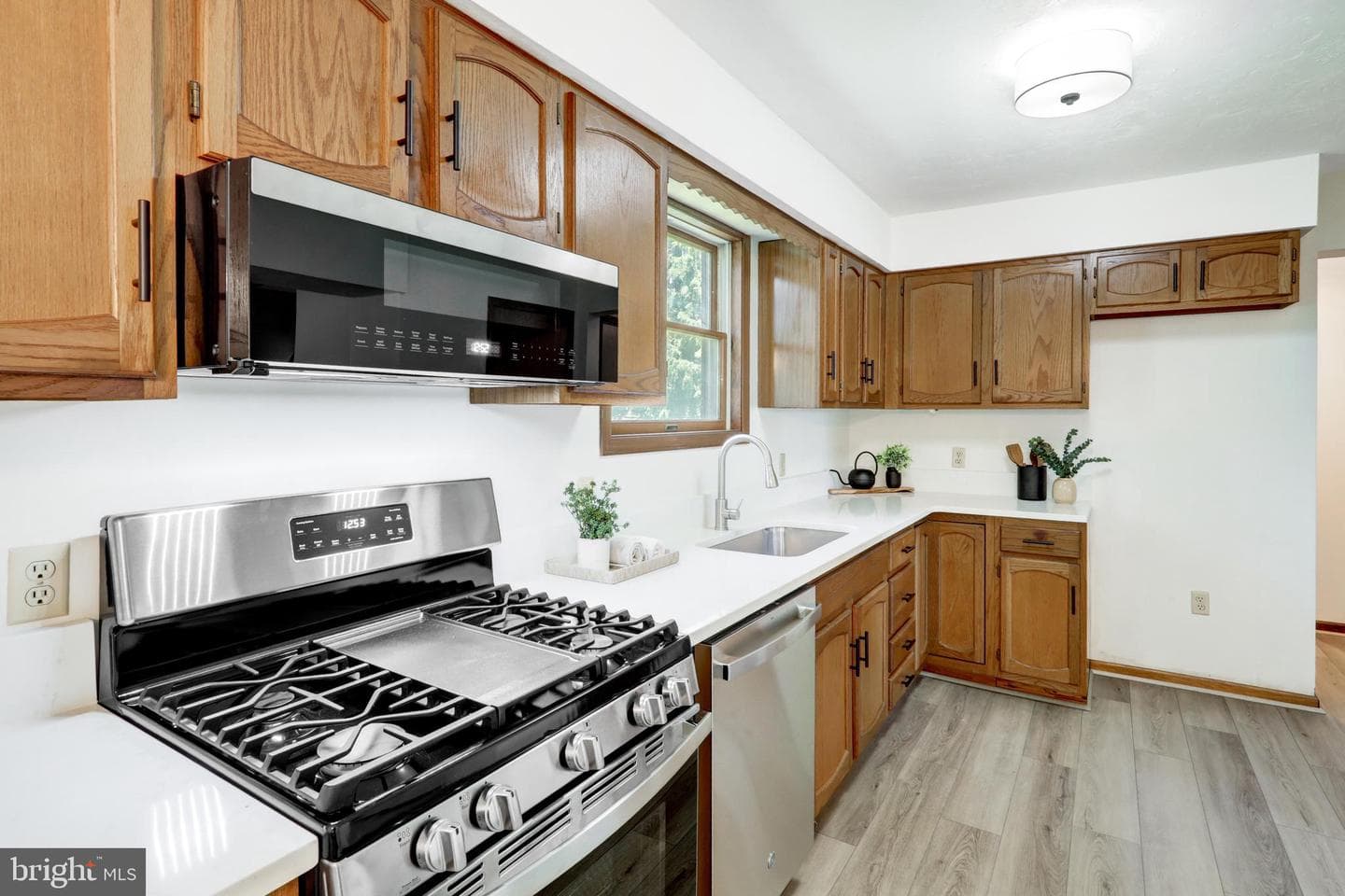 25 Filbert Street photo 9