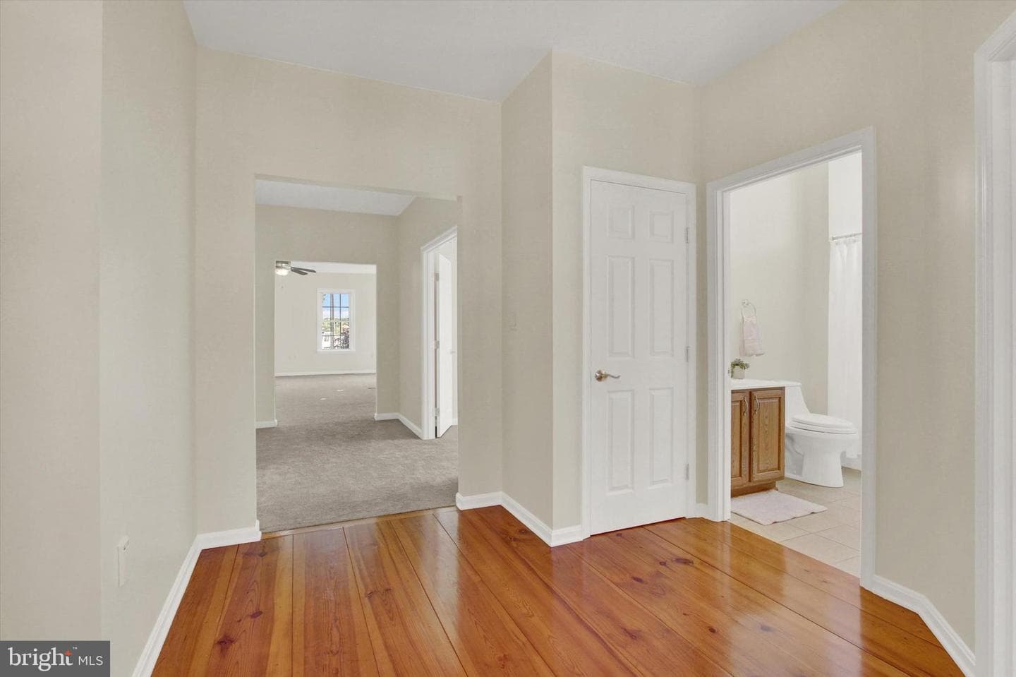 24 St Michaels Way photo 6